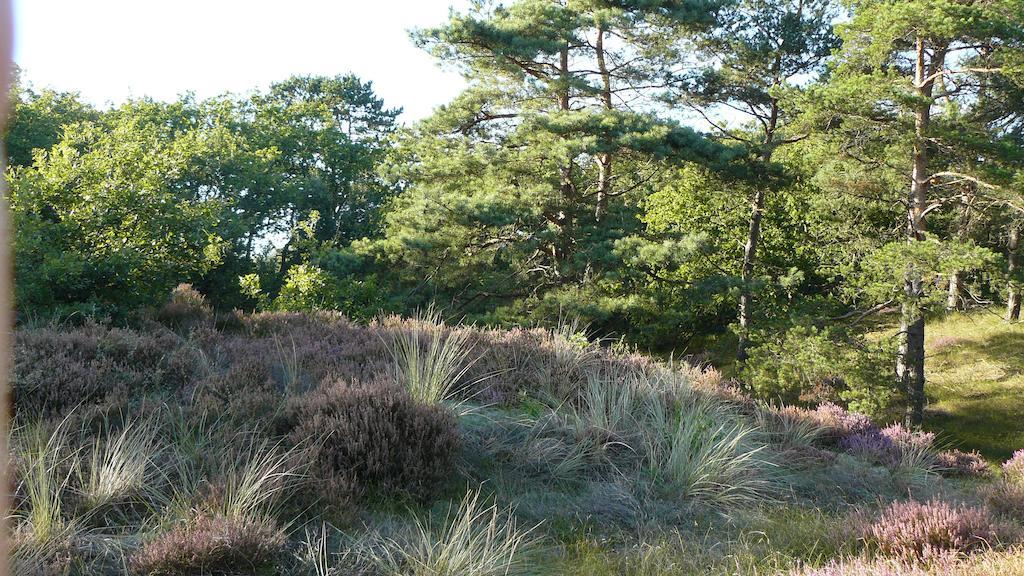 'T Kasteeltje Bergen Exterior foto